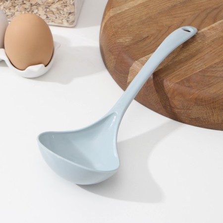 Polovnik plastic shares "Ration", 24 × 8 × 5 cm, color mix-3