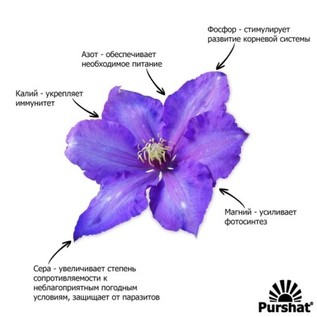 Purshat-M Water-soluble remedy for clematis, 1 kg-3