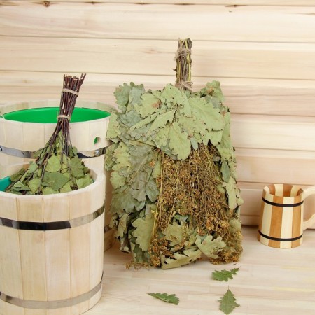 Broke for the bath oak, 55 cm with a Donnik