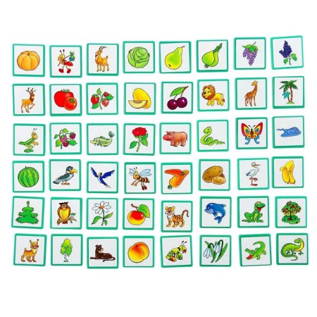 Lotto "plants-liver"-2
