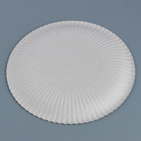Disposable plate "white" cardboard, 23 cm-2