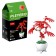 Designer "Flowers in a pot", 6 species, mix