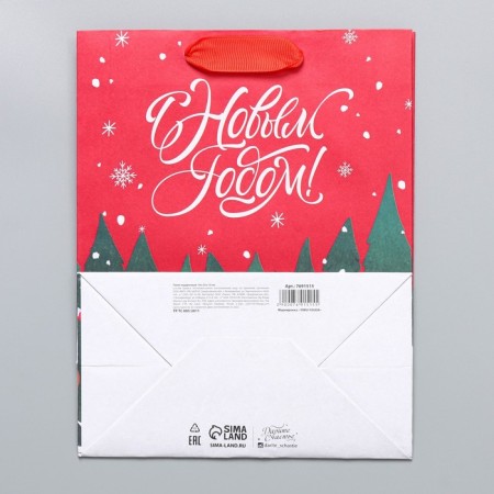 Craft vertical package "New", MS 18 x 23 x 10 cm, New Year-6