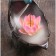 Set of incense on the stand "Deer" 19x18cm