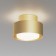 Technical C092CL-GX53-MG, GX53, 1x15 W, 110x110x74 mm, matte gold