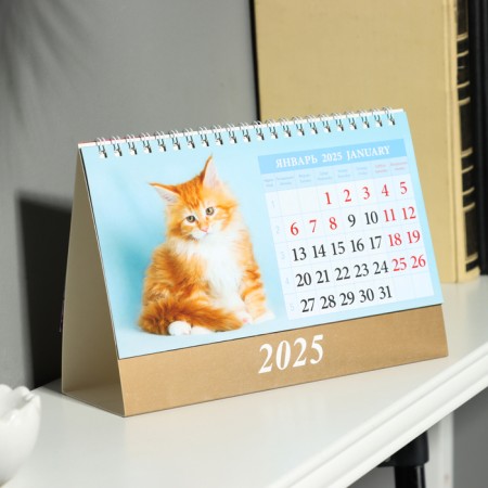 Desktop calendar, kittens house 2025, 14 x 20 cm-1