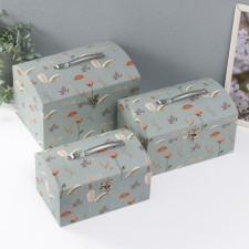 Cardboard Cardboard chest 