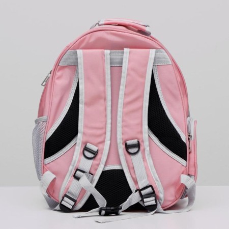 Backpack for carrying animals, transparent, 31 x 28 x 42 cm, pink-2