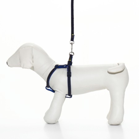 Kit "jeans", leash 120 x 1 cm, og 25-40 cm, blue-8