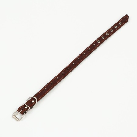 Leather collar on synthetic winterizer, with spikes, 2 x 40 cm, Osh 25-35 cm, dark brown-4