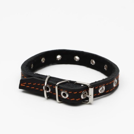 Leather collar on synthetic winterizer, dimensionless, 37 x 1.5 cm, Osh 21-31 cm, black-1
