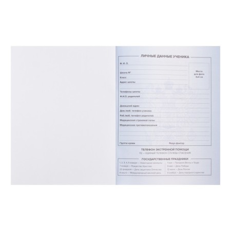 The diary is universal, for grade 1-11, "tirade", a solid cover, glossy lamination, an offset unit, a universal cheat sheet, 48 sheets-3