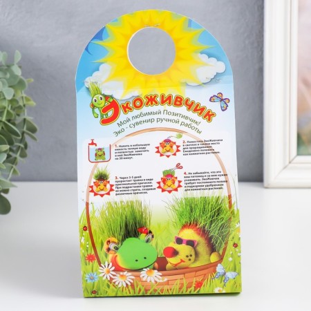 Growing gift Eco -Zhizhivchik "raccoon" mix-6