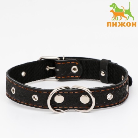 Collar leather reinforced with a kapron with a half-ring, 55 x 3 cm, Osh 30-57 cm, black