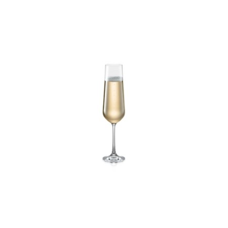 A set of champagne for champagne Tescoma Giorgio, 200 ml, 6 pcs