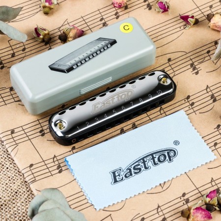Music Life T10-1 C BLACK DIATONICAL HALLLY, 10 holes, with case
