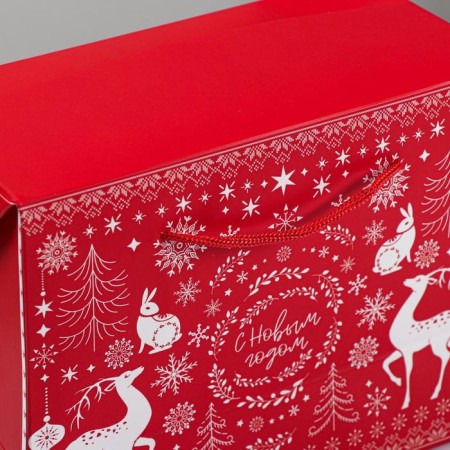 Package - “Feast Magic”, 23 x 18 x 11 cm, New Year-4