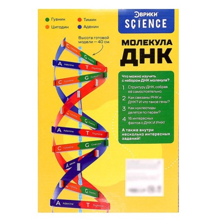 Set for experiments "Molecule DNA"-7