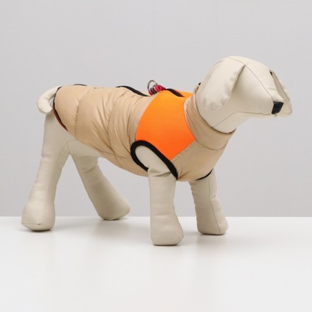 Lightning dog jacket, size 14 (ds 32 cm, OG 42 cm, Osh 31 cm), beige with orange-1