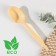 A dining room disposable “Bio Eco Premium M”, beige color