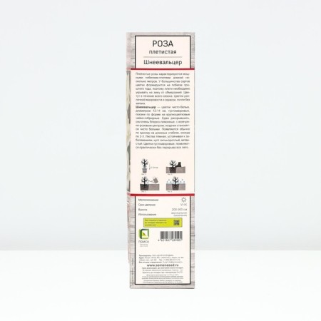 Seedling rose Plesy "Schnevalzer", tube, 1 pc, spring 2025-1