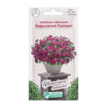 Verbena flowers hybrid royal purple, 0.1 g