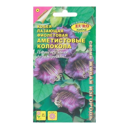 Cobeia flowers "Amethyst bells" purple, 0.3 g