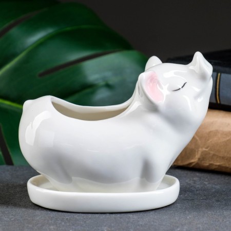 Pig "pig" 12x6x10cm-2