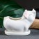 Pig "pig" 12x6x10cm
