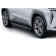 The thresholds "Premium-Black" Rival for Geely Atlas II 2023-n.