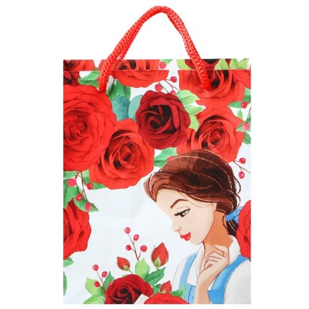 Gift package "Gift for you" 12x15x5.5 cm, packaging, princesses-3