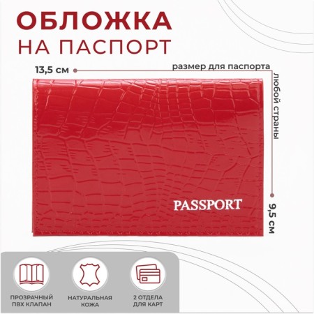Cover for passport, red color