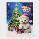 Laminated "Teddy Bear" package, XXL 61 x 46 x 20 cm