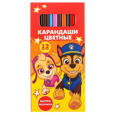 Pencils colored 12 colors, PAW PATROL-6