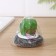 Cactus shade brush for washing dishes, metal sponge, d = 8 cm