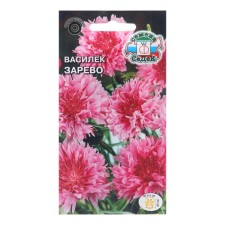 Flowers of cornflowers 