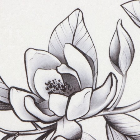 Bathroom mat Ethel Magnolia 50x80 cm, 100% p/e, velor-2