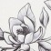 Bathroom mat Ethel Magnolia 50x80 cm, 100% p/e, velor