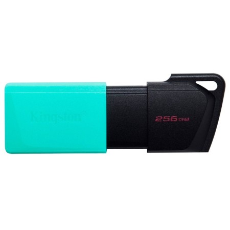Kingston USB3.2 256GB DTXM/256GB flash drive