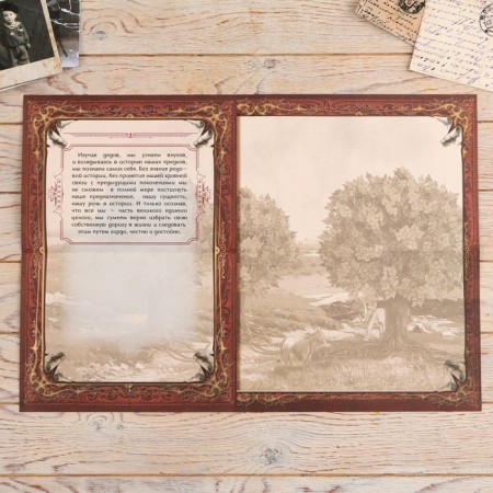 The genealogy book in the box with a pen and ink “Tree”, 56 sheets, 26 x 24 x 7 cm.-12