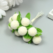 Stamens for flowers 