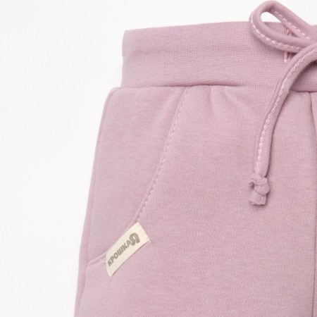 Costume: sweatshirt and pants crumb I, Basic Line, height 68-74 cm, pink color-13