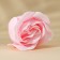 LEAST LEAST “On this Spring Day”, 6 pcs, Flower aroma, pure happiness