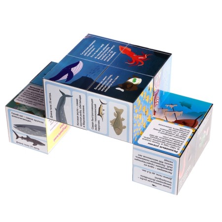 "Умникуб" океаны-7