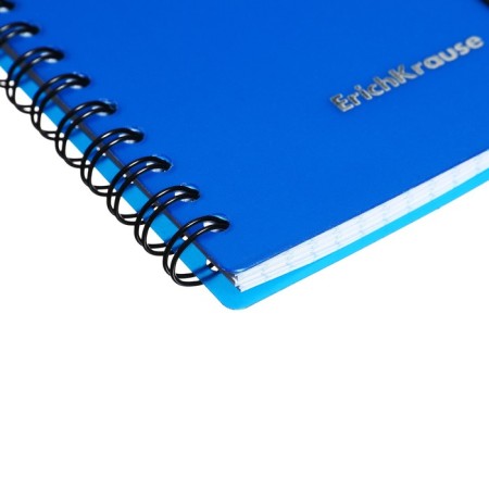 Notebook A6 (120 x 146 mm), 80 sheets in a cage on the crest Erichkrause "Ice Metallic", plastic cover, elastic band, offset unit, white 100%, mix-17
