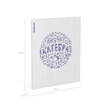 Subject notebook, 48 sheets, cage, algebra Erichkrause "Chaos", plastic cover silk-screen cover, OFSET BELICT 100%, information block-4