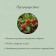 Builder for strawberries, d = 20 cm, h = 25 cm, leg d = 0.3 cm, metal, green