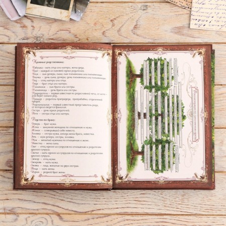 The genealogy book in the box "Tree of Life", 56 sheets, 20 x 26 cm-7