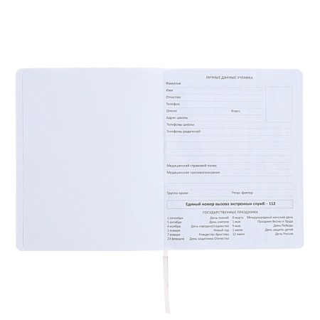 The universal diary for grade 1-11 "Do not need me to be nervous!", Soft cover, artificial leather, silkography, lies, 80 g/m2-3