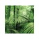 Organizer in a bath on suction cups "Forest Fern", for storing toys and trifles, size 33x39 cm